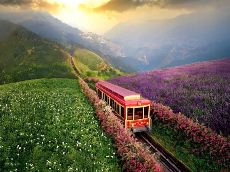 Visit the gardens for stunning valley panoramas and flowers changing all spring.