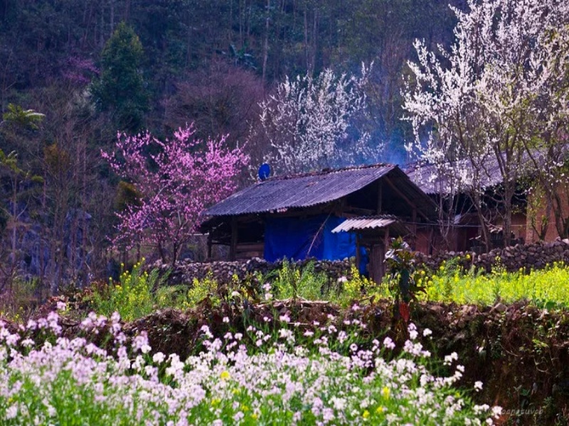 Sapa Vietnam in March is spring time with cool and pleasant weather.