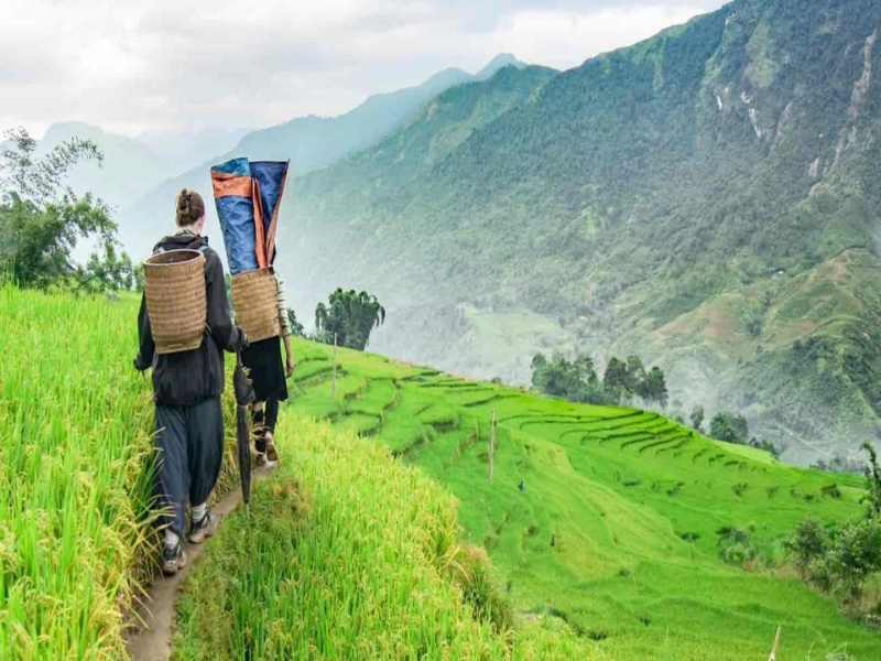 Sapa March Weather: Warm Spring & Clearing Fog in Muong Hoa Valley