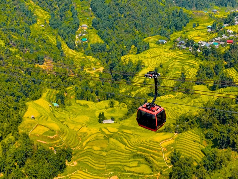Take the Fansipan cable car for breathtaking panoramic views of Sapa's iconic rice fields