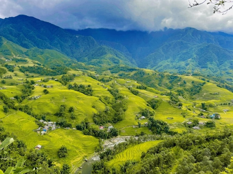 Famous for its dramatic mountain pass, O Quy Ho provides stunning aerial views of terraced fields.
