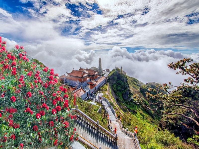 Visit Sapa in March for mild, sunny weather perfect for trekking and blooming peach and plum flowers.