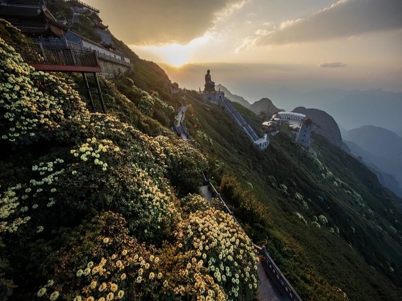 March brings the first Azalea blooms on Fansipan summit, marking the season.