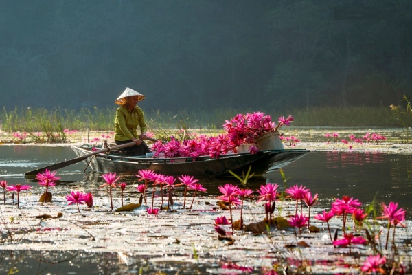 Ninh Binh in November possesses the tranquil, romantic beauty of late autumn,